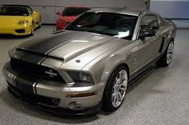   - Super Snake  