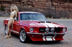 Shelby Super Snake: 800    Mustang-